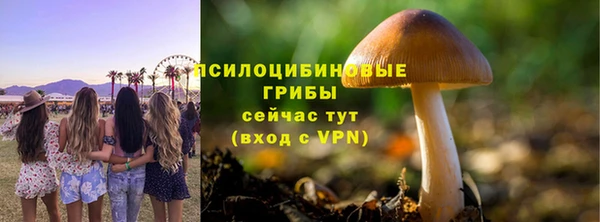 дмт Нефтекумск