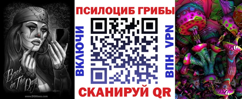 Псилоцибиновые грибы Cubensis  Усолье-Сибирское 